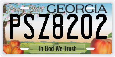 GA license plate PSZ8202