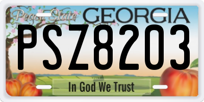 GA license plate PSZ8203