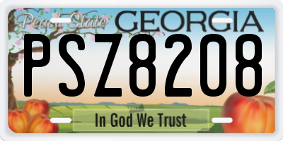 GA license plate PSZ8208