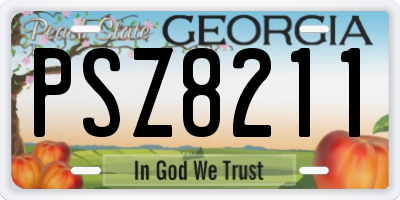 GA license plate PSZ8211