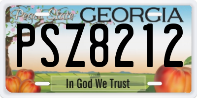 GA license plate PSZ8212