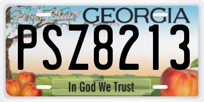 GA license plate PSZ8213