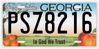 GA license plate PSZ8216