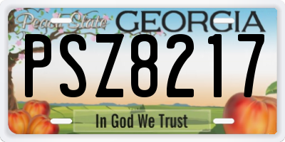 GA license plate PSZ8217
