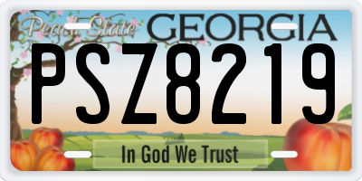 GA license plate PSZ8219