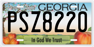 GA license plate PSZ8220