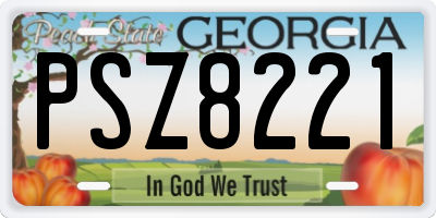 GA license plate PSZ8221