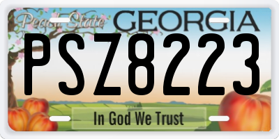 GA license plate PSZ8223