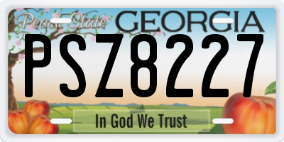 GA license plate PSZ8227