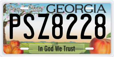 GA license plate PSZ8228