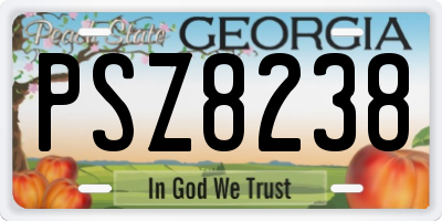 GA license plate PSZ8238