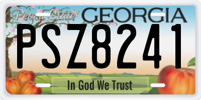 GA license plate PSZ8241