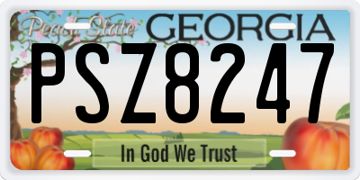 GA license plate PSZ8247