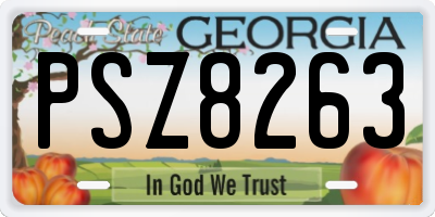 GA license plate PSZ8263