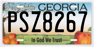 GA license plate PSZ8267