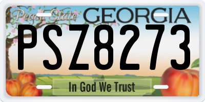 GA license plate PSZ8273