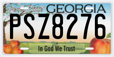 GA license plate PSZ8276
