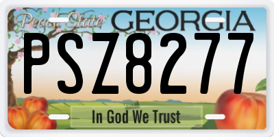 GA license plate PSZ8277