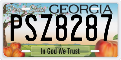 GA license plate PSZ8287