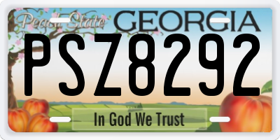 GA license plate PSZ8292