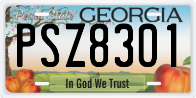 GA license plate PSZ8301