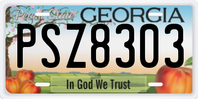 GA license plate PSZ8303