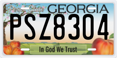 GA license plate PSZ8304