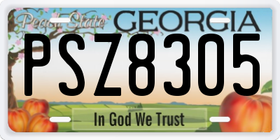 GA license plate PSZ8305