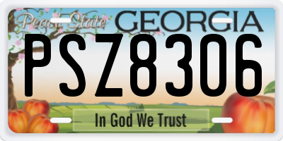 GA license plate PSZ8306