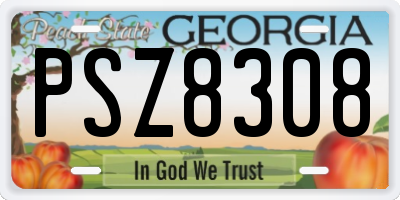 GA license plate PSZ8308