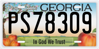 GA license plate PSZ8309