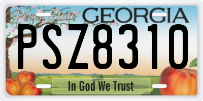 GA license plate PSZ8310