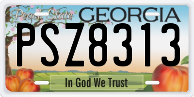 GA license plate PSZ8313