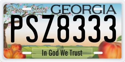 GA license plate PSZ8333