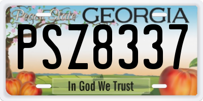 GA license plate PSZ8337