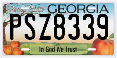 GA license plate PSZ8339