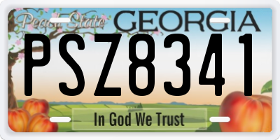 GA license plate PSZ8341