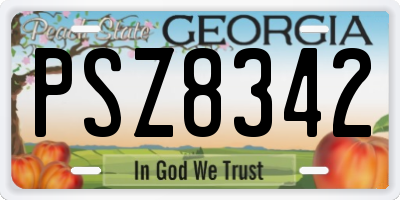 GA license plate PSZ8342