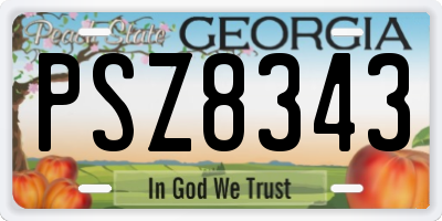 GA license plate PSZ8343