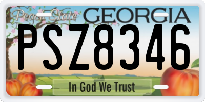 GA license plate PSZ8346