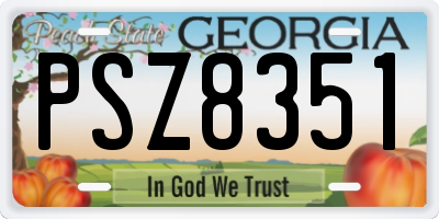GA license plate PSZ8351