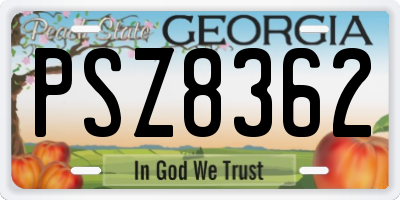 GA license plate PSZ8362