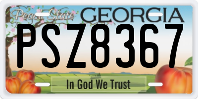 GA license plate PSZ8367