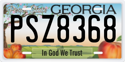 GA license plate PSZ8368