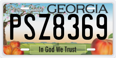 GA license plate PSZ8369