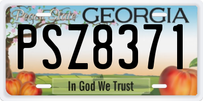 GA license plate PSZ8371