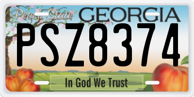 GA license plate PSZ8374
