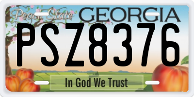 GA license plate PSZ8376