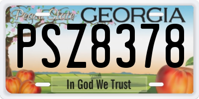 GA license plate PSZ8378