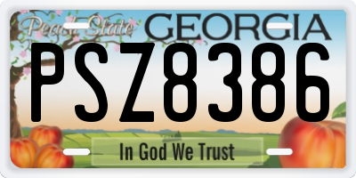 GA license plate PSZ8386